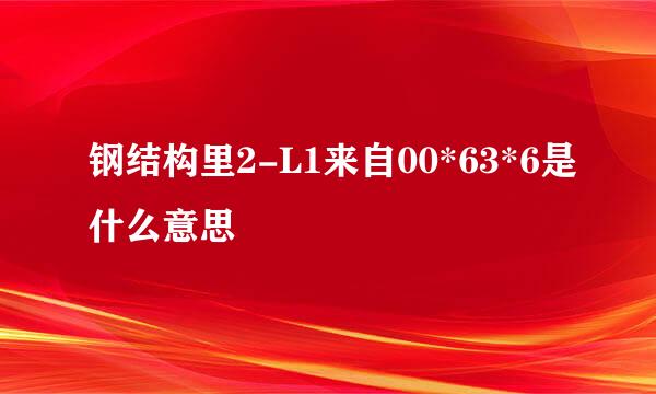 钢结构里2-L1来自00*63*6是什么意思