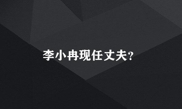 李小冉现任丈夫？