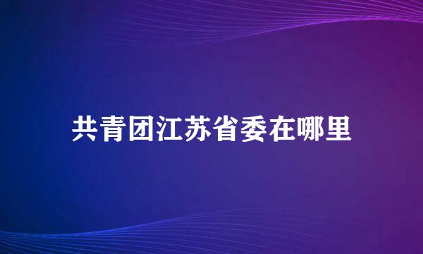 共青团江苏省委在哪里