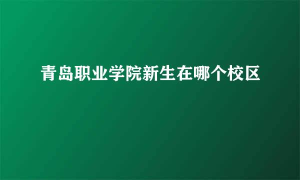 青岛职业学院新生在哪个校区