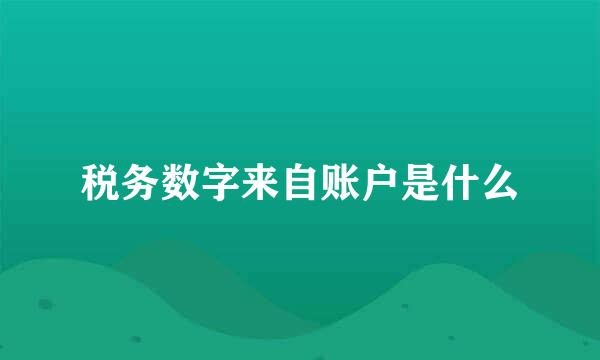 税务数字来自账户是什么