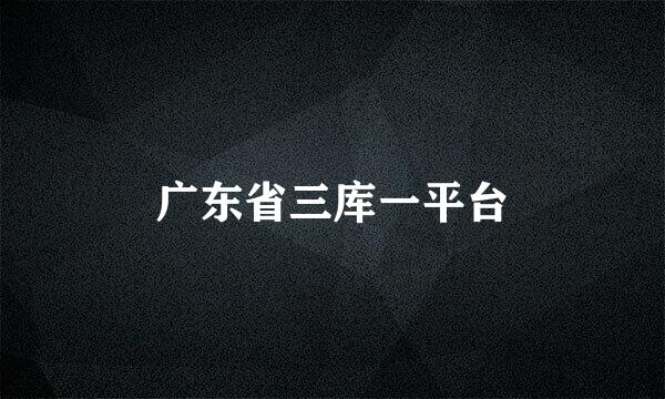 广东省三库一平台