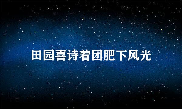 田园喜诗着团肥下风光