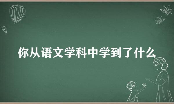 你从语文学科中学到了什么