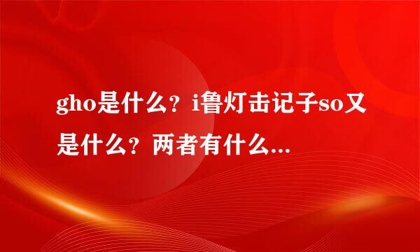 gho是什么？i鲁灯击记子so又是什么？两者有什么区别？？？求解