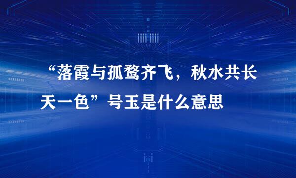 “落霞与孤鹜齐飞，秋水共长天一色”号玉是什么意思