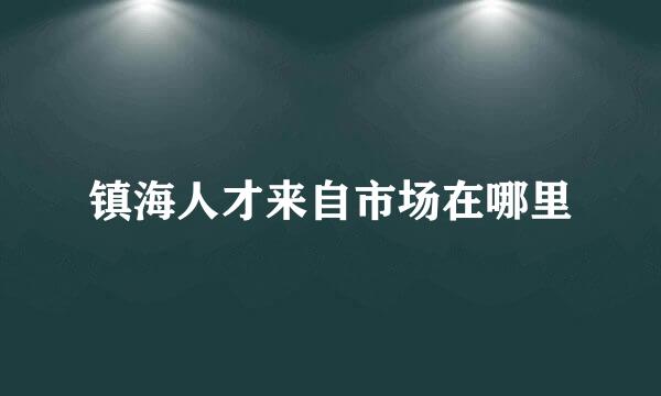 镇海人才来自市场在哪里