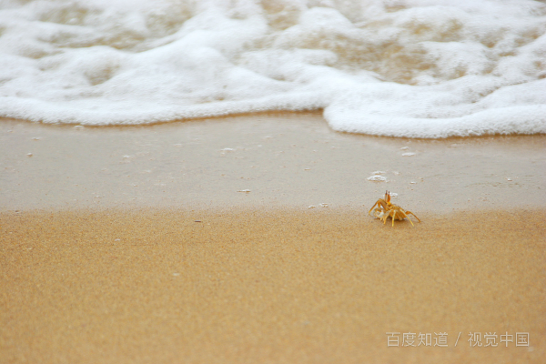 nature是什么意思中文