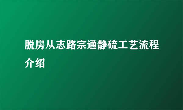 脱房从志路宗通静硫工艺流程介绍