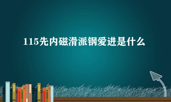 115先内磁滑派钢爱进是什么