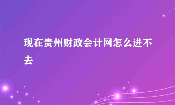 现在贵州财政会计网怎么进不去