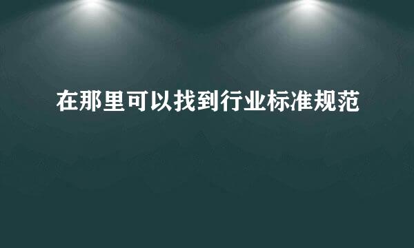 在那里可以找到行业标准规范