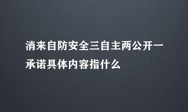 消来自防安全三自主两公开一承诺具体内容指什么