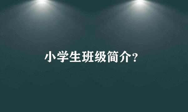 小学生班级简介？