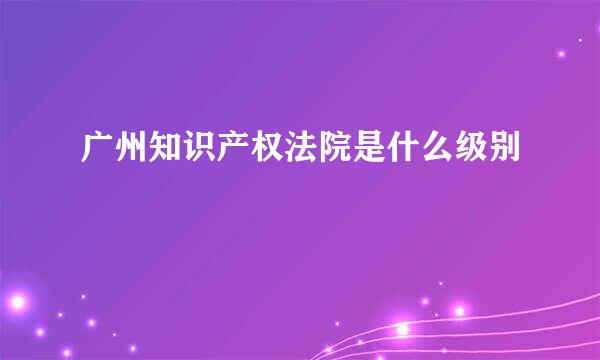 广州知识产权法院是什么级别