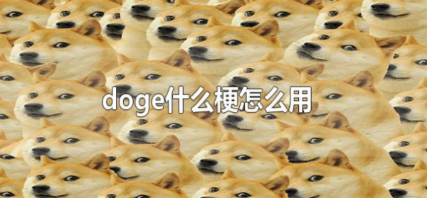 (d秋帝晚之得思oge)是什么梗?