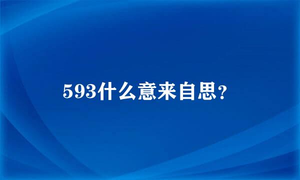 593什么意来自思？