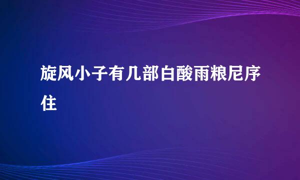 旋风小子有几部白酸雨粮尼序住