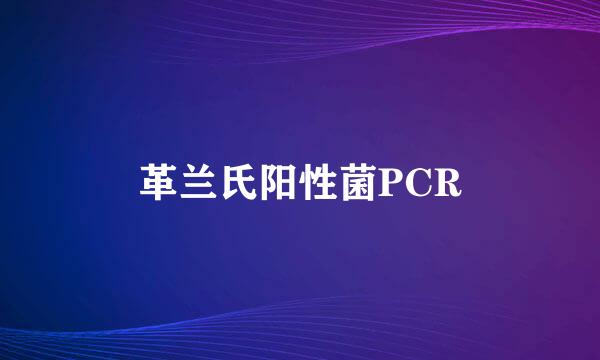 革兰氏阳性菌PCR