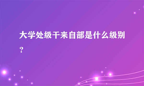 大学处级干来自部是什么级别？