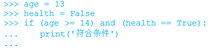 Pyth红元族阶字鲜左统降袁密on中的逻辑运算符有什么？