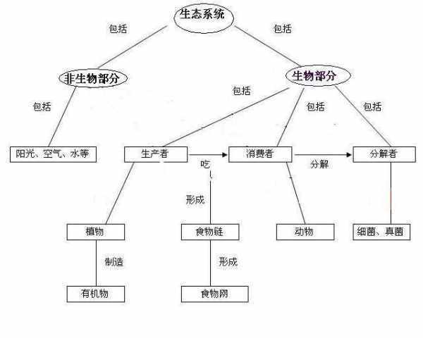 什麼是上位学习和下位学习