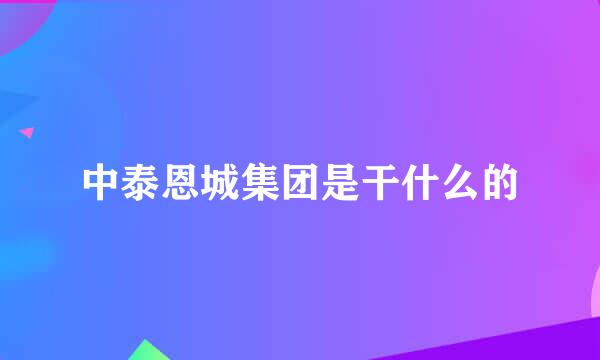 中泰恩城集团是干什么的