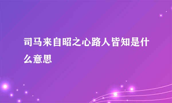 司马来自昭之心路人皆知是什么意思