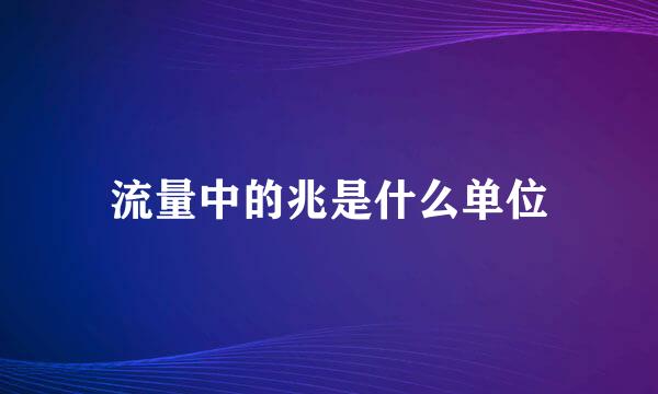 流量中的兆是什么单位