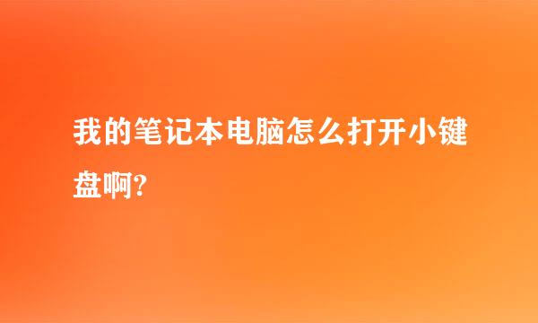 我的笔记本电脑怎么打开小键盘啊?