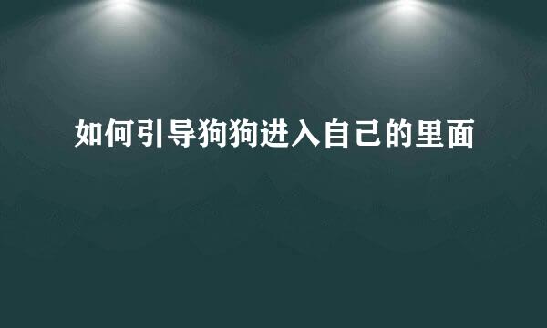 如何引导狗狗进入自己的里面