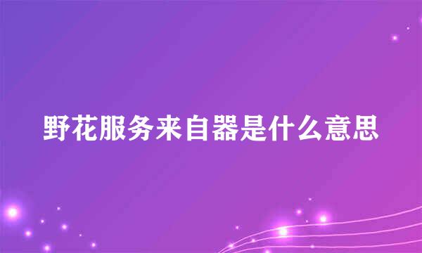 野花服务来自器是什么意思