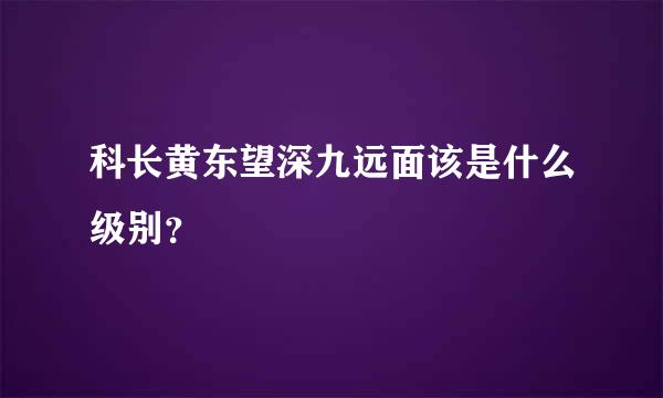 科长黄东望深九远面该是什么级别？