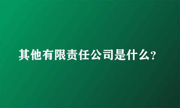 其他有限责任公司是什么？