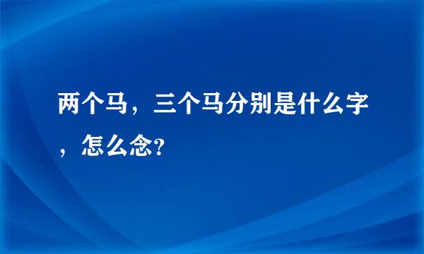 两个马，三个马分别是什么字，怎么念？