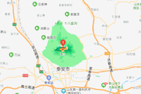 泰山位于山东省哪个市？