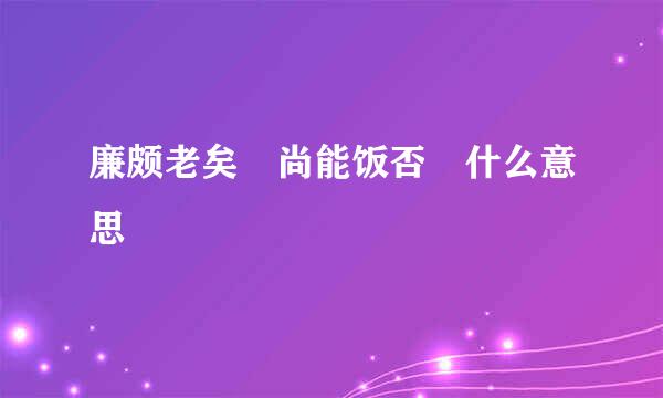 廉颇老矣 尚能饭否 什么意思