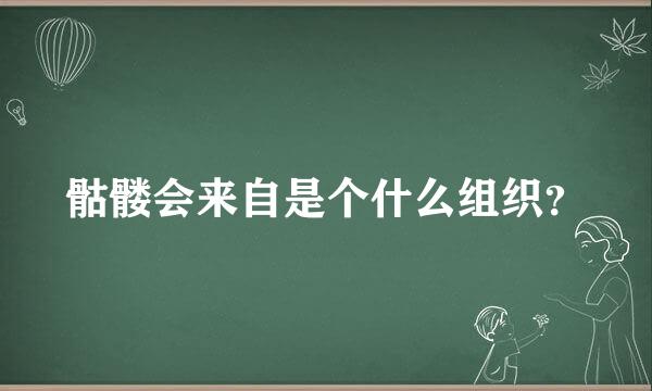 骷髅会来自是个什么组织？