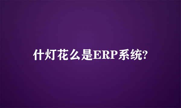 什灯花么是ERP系统?