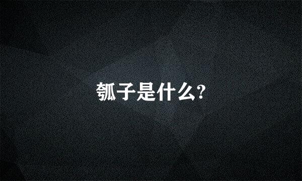 瓠子是什么?