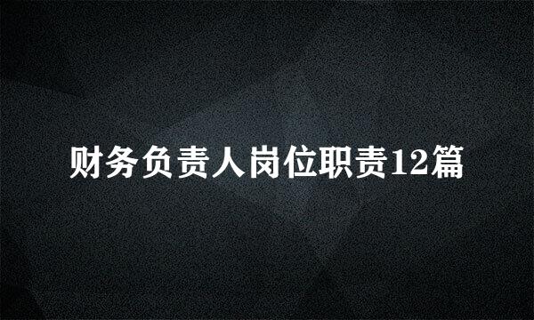 财务负责人岗位职责12篇