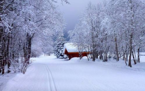 鲁迅《雪》原文