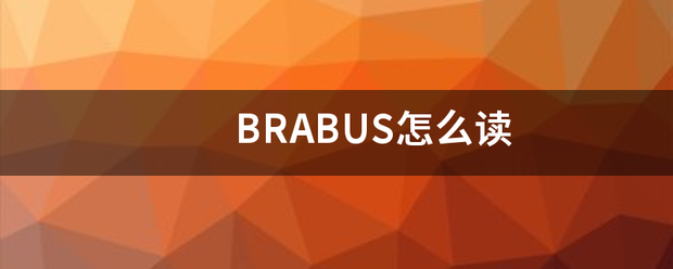 BR结爱述处厂线ABUS怎么读