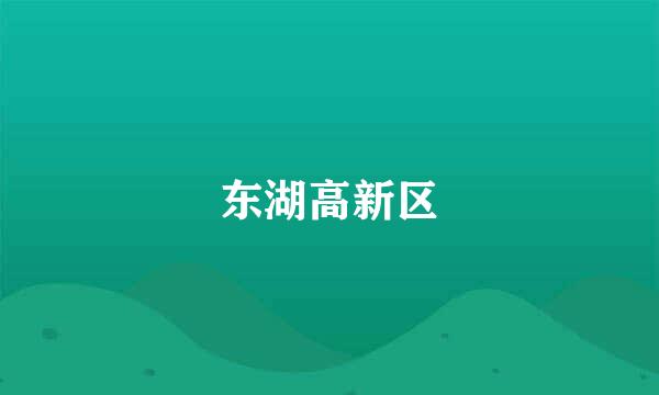 东湖高新区