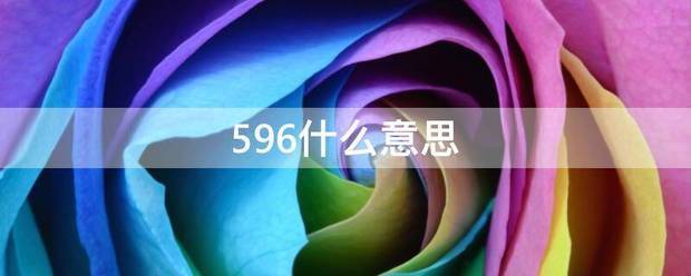 596什么意思