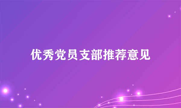 优秀党员支部推荐意见