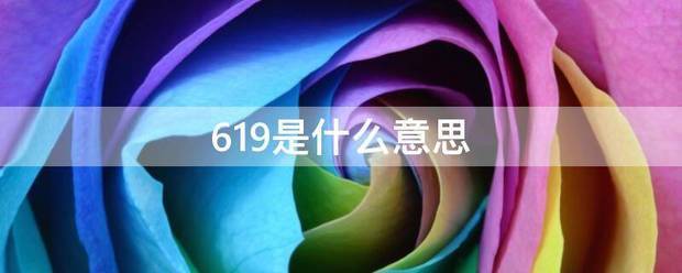 619是什么意思