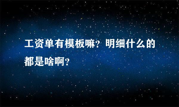 工资单有模板嘛？明细什么的都是啥啊？