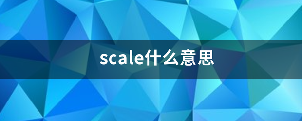 scale什么意思