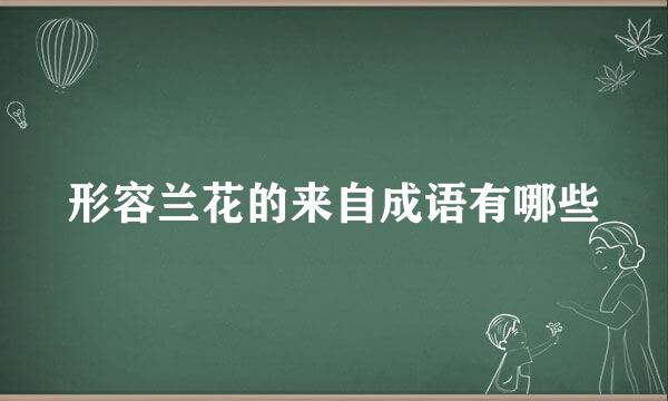 形容兰花的来自成语有哪些